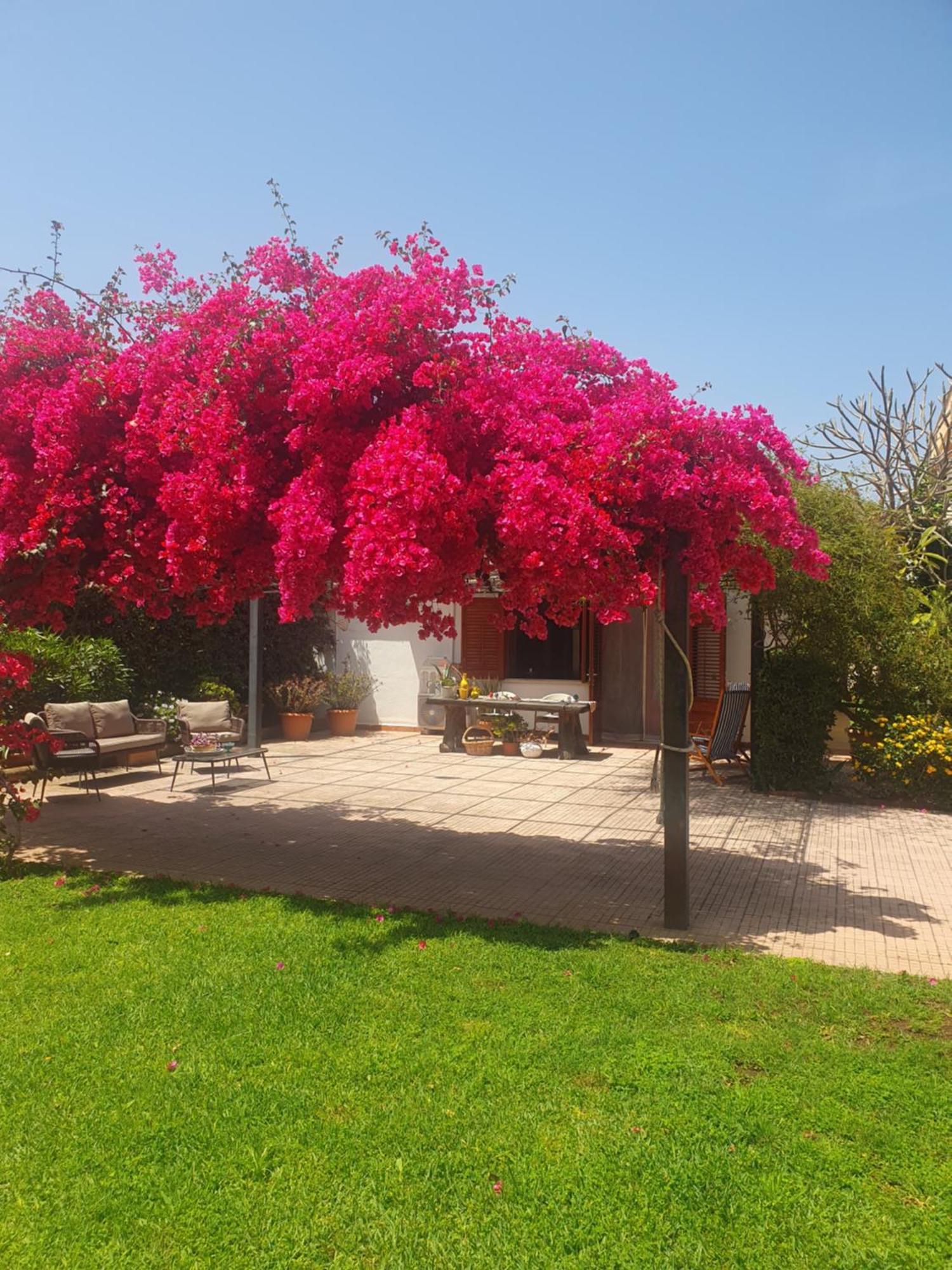 La Depandance Di Villa Rosa Locazioni Brevi Mondello Dış mekan fotoğraf