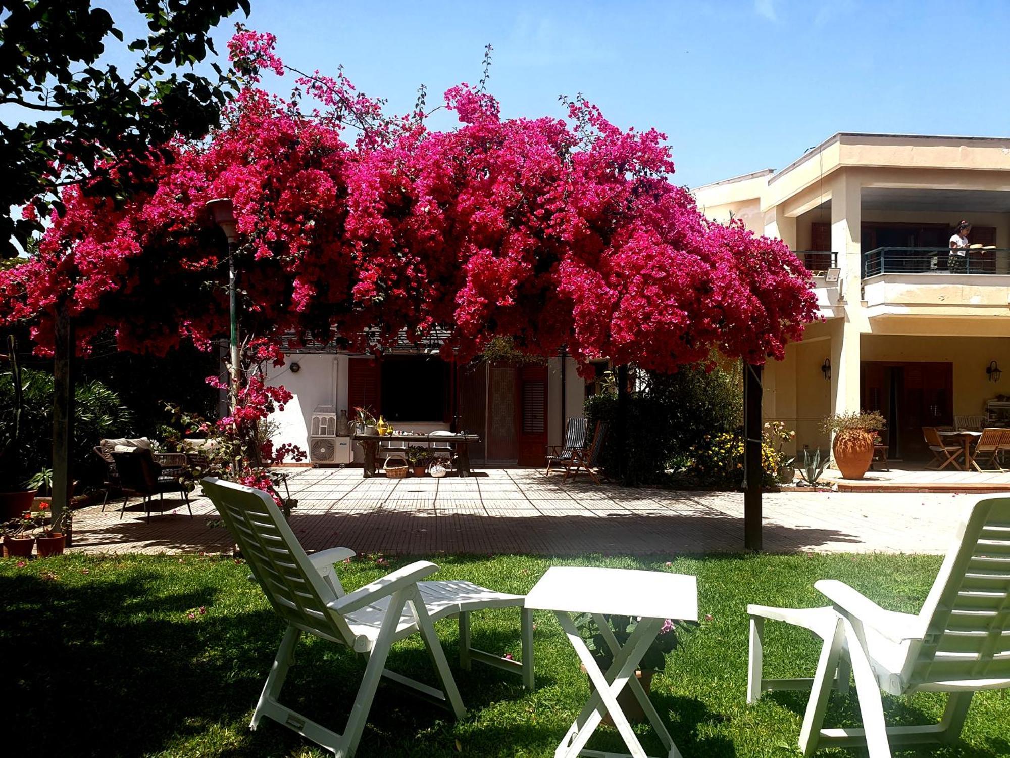 La Depandance Di Villa Rosa Locazioni Brevi Mondello Dış mekan fotoğraf